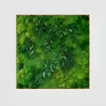 Moss & Ferns Moss and Ferns - Living Moss Walls ARTISAN MOSS