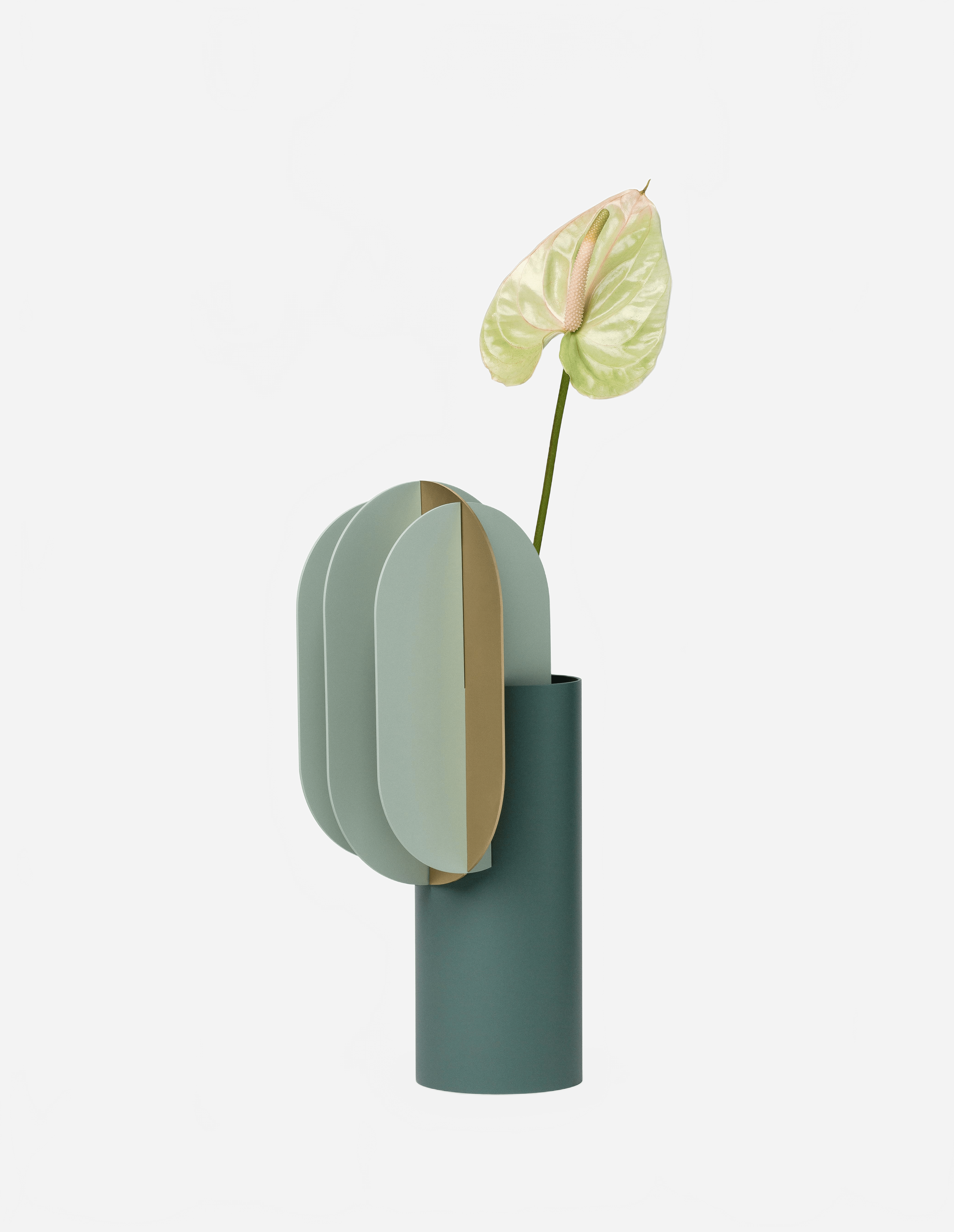NOOM GABO VASE CS9 Vase